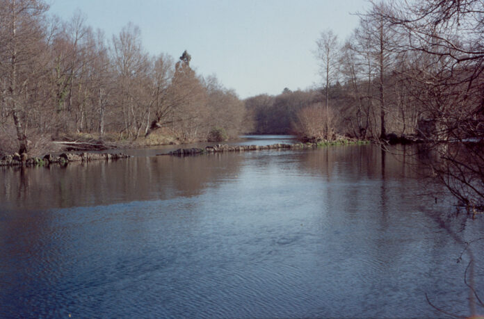 RÍO LADRA