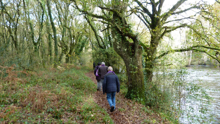 Andaina popular contra a violencia de xénero do Concello de Outeiro de Rei