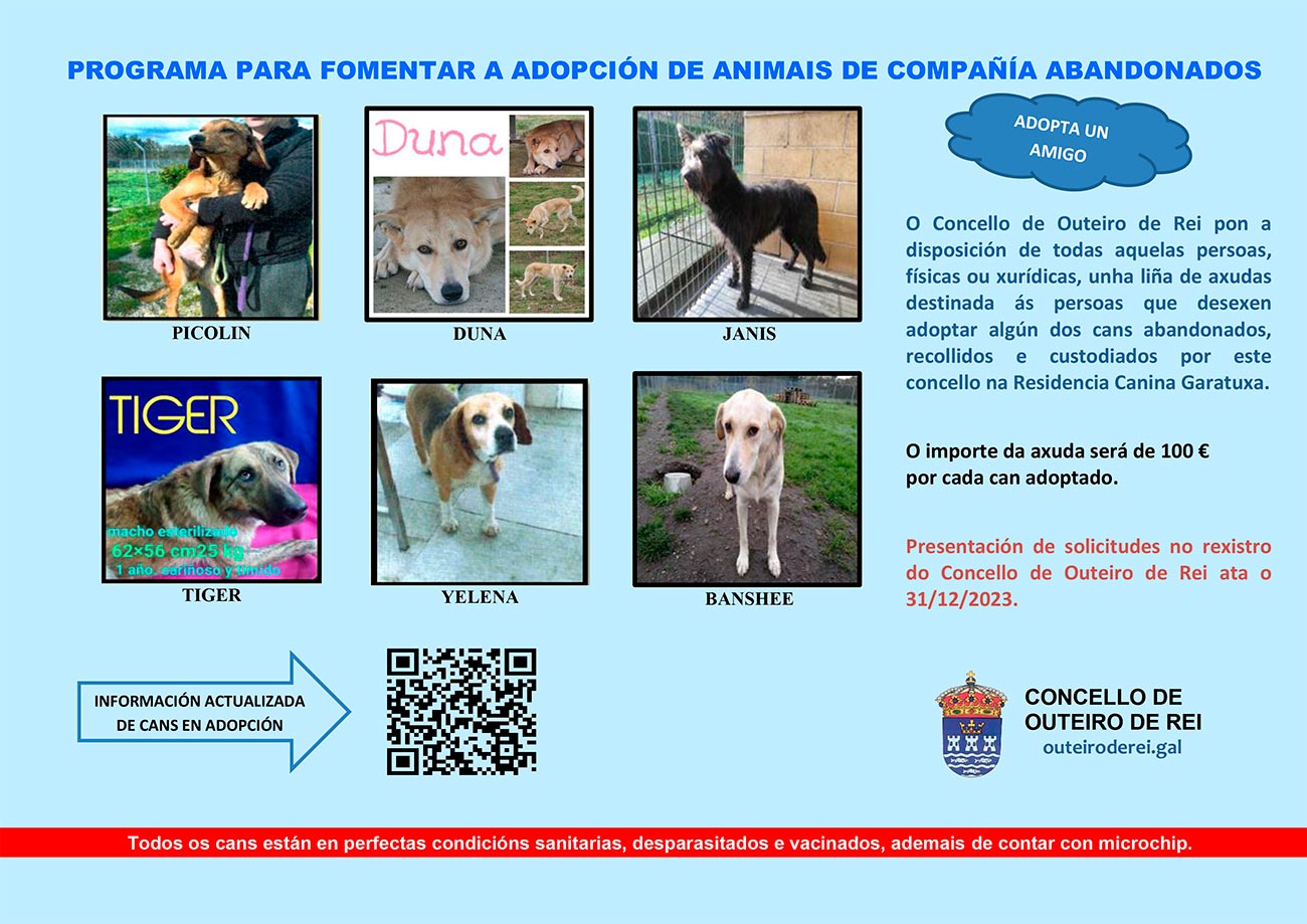 Programa para fomentar a adopción de cans abandonados