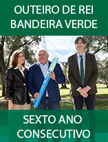 Bandeira Verde