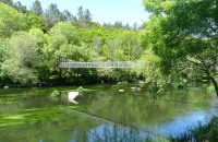 PONTE COLGANTE