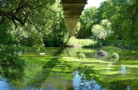 PONTE COLGANTE