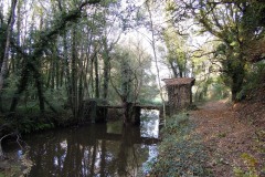 RUTA CAMIÑO DO MIÑO