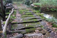 RUTA CAMIÑO DO MIÑO