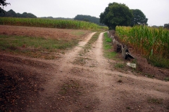 RUTA CAMIÑO DO MIÑO