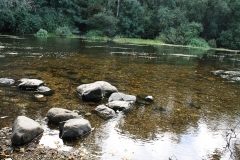 RUTA CAMIÑO DO MIÑO