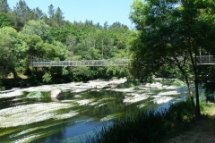 RUTA CAMIÑO DO MIÑO