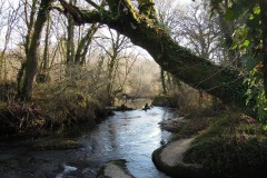 RUTA DA INSUA DE SEIVANE