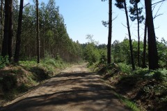 RUTA ARQUEOLÓXICA DE O ACEVEDO