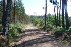 RUTA ARQUEOLÓXICA DE O ACEVEDO