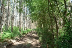 RUTA ARQUEOLÓXICA DE O ACEVEDO