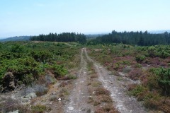 RUTA ARQUEOLÓXICA DE O ACEVEDO