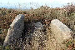 RUTA ARQUEOLÓXICA DE O ACEVEDO