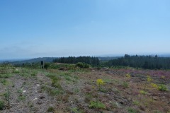 RUTA ARQUEOLÓXICA DE O ACEVEDO