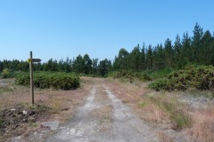 RUTA ARQUEOLÓXICA DE O ACEVEDO