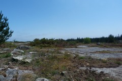 RUTA ARQUEOLÓXICA DE O ACEVEDO