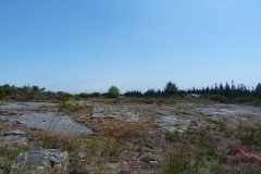 RUTA ARQUEOLÓXICA DE O ACEVEDO