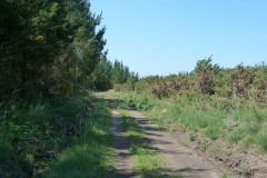 RUTA ARQUEOLÓXICA DE O ACEVEDO