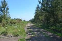 RUTA ARQUEOLÓXICA DE O ACEVEDO