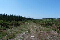 RUTA ARQUEOLÓXICA DE O ACEVEDO