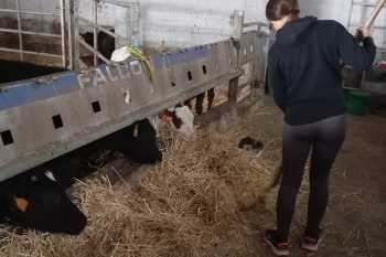 Paulino-Carral-Mendez-1