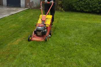 Xardineria-Santa-Isabel-2