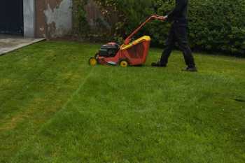 Xardineria-Santa-Isabel-4