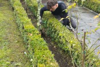 Xardineria-Santa-Isabel-5